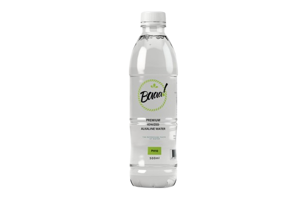 Alkaline water (500ml x 12)